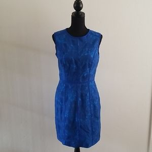 Cynthia Steffe Cobalt Blue Shift Dress